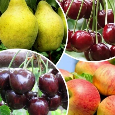 Комплект НАСЛАЖДЕНИЕ в Нижнем Тагиле