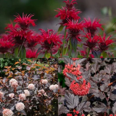 Комплект ОГНЕННЫЙ МИКС в Нижнем Тагиле