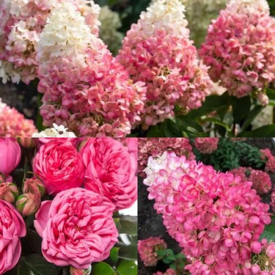 Комплект МАЛИНОВЫЙ ДЕСЕРТ в Нижнем Тагиле