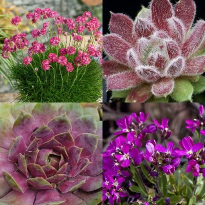 Комплект МИНИ САД в Нижнем Тагиле