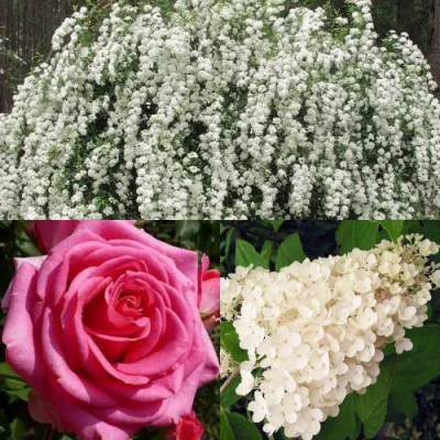 Комплект ВЕЧНАЯ КЛАССИКА в Нижнем Тагиле