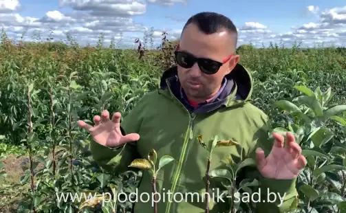 Превью видео