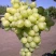 Виноград АРКАДИЯ в Нижнем Тагиле