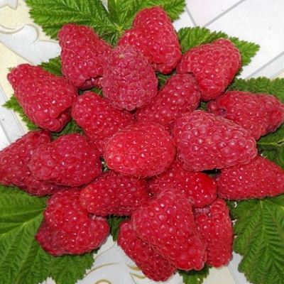 Сладкая в Нижнем Тагиле