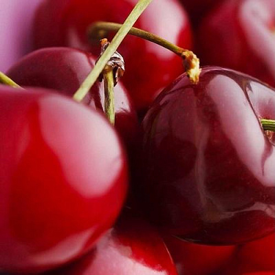 Вишня Вишня в Нижнем Тагиле