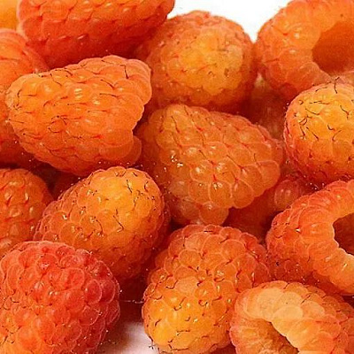 Оранжевая в Нижнем Тагиле